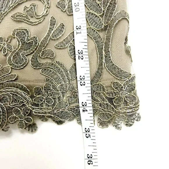 NWT Tadashi Shoji Dress Corded Embroidery On Tulle 3/4 Sleeve. Smoke Pearl Sz 2P